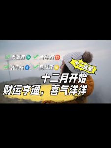 2025年生肖星座财运大揭秘！财运亨通指南
