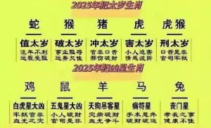 2025生肖星座运势揭秘：鼠龙天秤摩羯迎挑战机遇