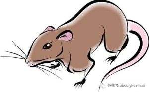 2025生肖运势：鼠马龙猴财富翻倍，运势翻篇！
