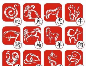 生肖星座宝宝：潜力无限，孝顺卓越，命运之谜