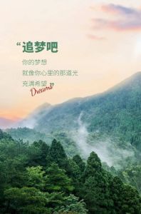 2025年运势大爆发！四大星座贵人助力，追梦成功秘诀揭晓！