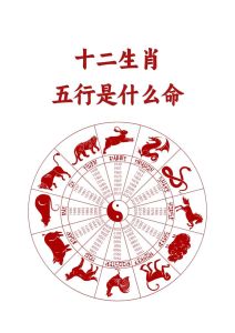 2024年12月20日生肖运势揭秘：对号入座！