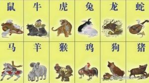 2024年12月20日生肖运势解析：揭秘你的幸运密码