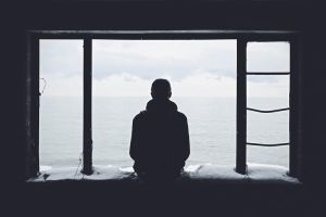 探秘孤独之美：坚韧与距离的故事