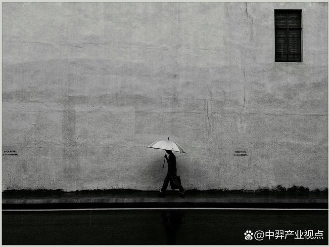 孤独双重影响：揭秘身心健康的奥秘