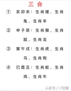 生肖财运揭秘：鼠龙马猪财富密码解析