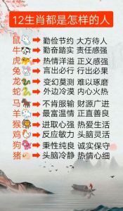 12月生肖运势大爆发：虎兔马猪好运连连！