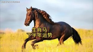 2024年12月生肖运势揭秘：运势起伏，财运转机！
