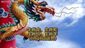 2025年生肖星座爱情运势：四大生肖男性魅力指南