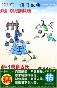 兔猪龙生肖近期大丰收：事业爱情双赢秘诀