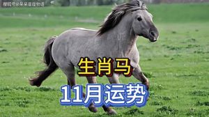 12月生肖狗猴马感情运势井喷，邂逅幸福时光！