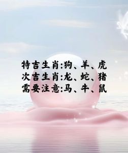 12月生肖运势揭秘：谁将迎来好运丰收？