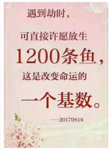 佛教放生之谜：命运改变与福报修行探秘