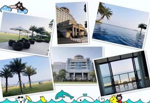 12月20日生肖运势大揭秘：鼠牛羊转折点，信心之旅启程！