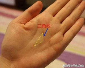 揭秘横财命：八字生肖手相星座背后的奥秘