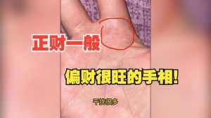 揭秘偏财运：八字面相手相技巧，提升财运秘诀