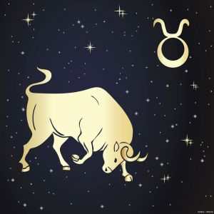 十二月好运来袭：白羊金牛狮子狗生肖丰收月
