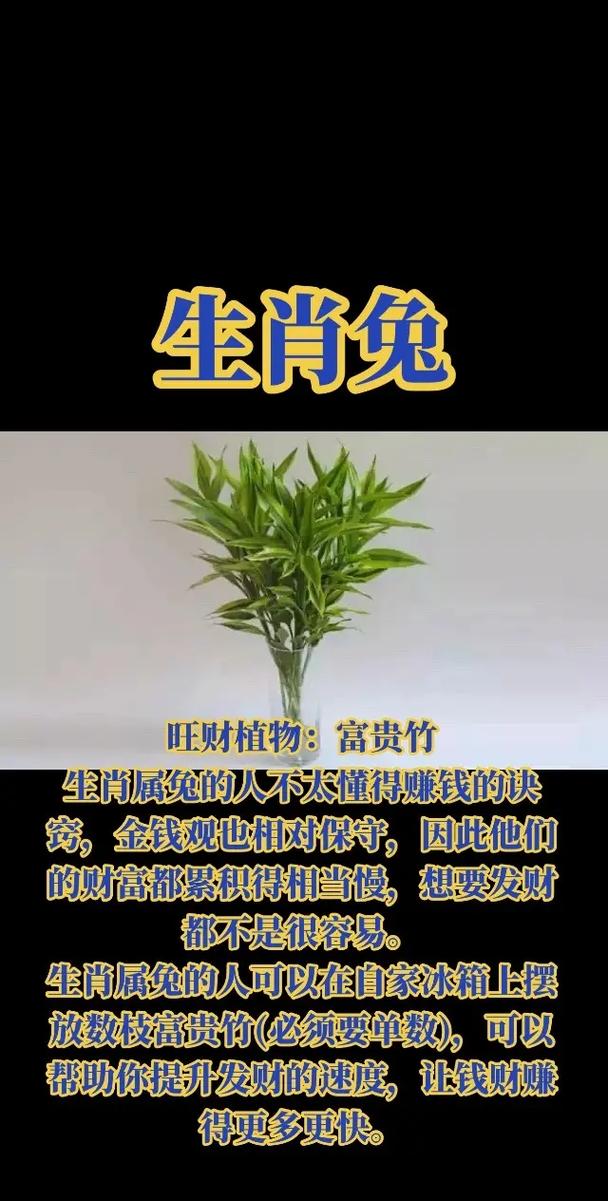 2025年生肖运势：龙兔牛蛇事业财运双赢