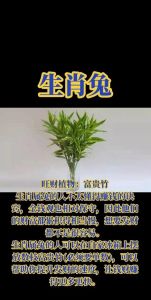 2025年生肖运势：龙兔牛蛇事业财运双赢