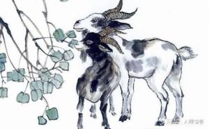 生肖运势逆袭：鼠虎蛇猪29天桃花盛开，真诚互动幸福来！