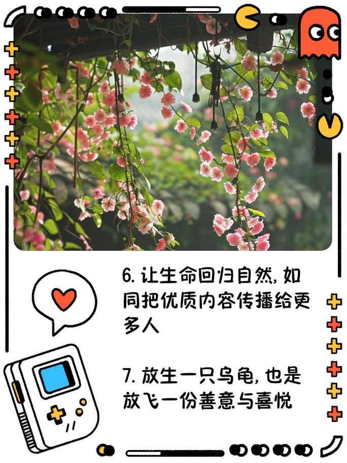 放生乌龟：揭示生命意义与自然和谐故事