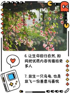 放生乌龟：揭示生命意义与自然和谐故事