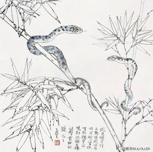 猴蛇鼠生肖未来30天运势爆发，揭秘成功秘诀！
