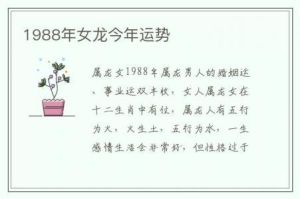 鼠龙羊12月职场运势大揭秘：成就非凡的秘密！
