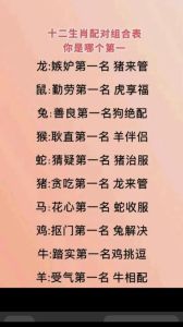 生肖配对之谜：猴蛇虎猪鼠龙组合命运解析