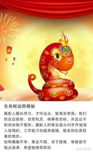 12月20日生肖蛇狗马运势高峰：古智慧指引新生篇章