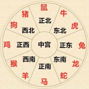 生肖猪羊马鼠明日运势揭秘：爱情财运事业大爆发！