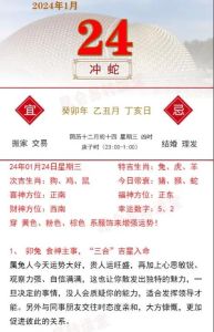 2024年12月20日生肖运势：吉凶各异，好运挑战并存