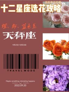 生肖星座好运日揭秘：爱情财富事业全面展望