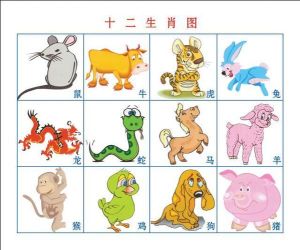 9月1日生肖运势大逆袭：兔龙鸡狗迎甜蜜人生！