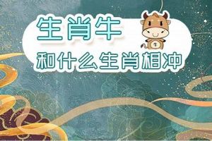 9月20日生肖运势大揭秘：牛猪狗蜕变时刻！