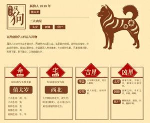 12月22日生肖运势高峰：狗年升职加薪在即！
