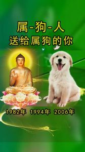 属狗大翻身：未来三月好运连连，一鸣惊人的生肖机会！