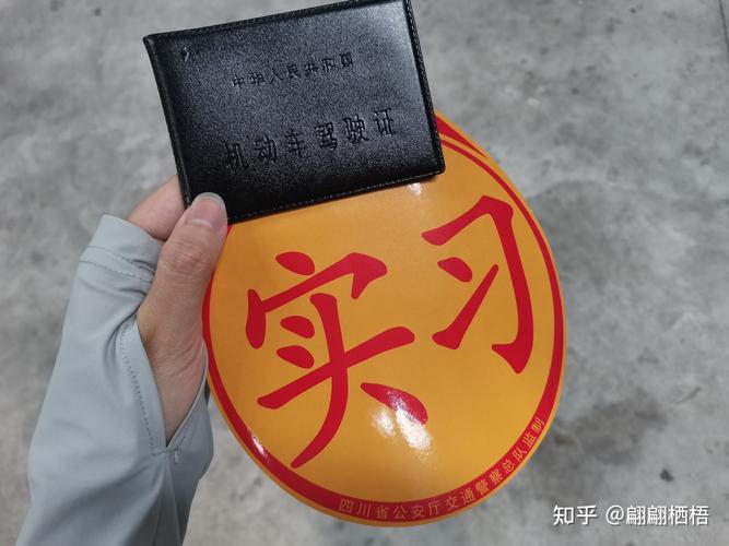 疯狂大学挑战记+PMP通关秘籍：我的知乎高光与成长之旅