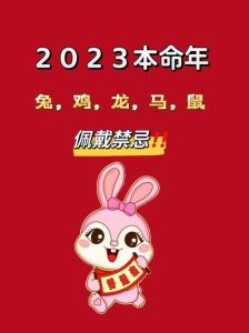 2025生肖运势：鼠龙马猪大放异彩，事业爱情双丰收！