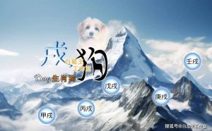 2025生肖财富启示：鼠龙虎羊迎运势巅峰