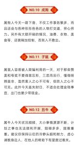 2025生肖运势大揭秘：事业财运双丰收攻略