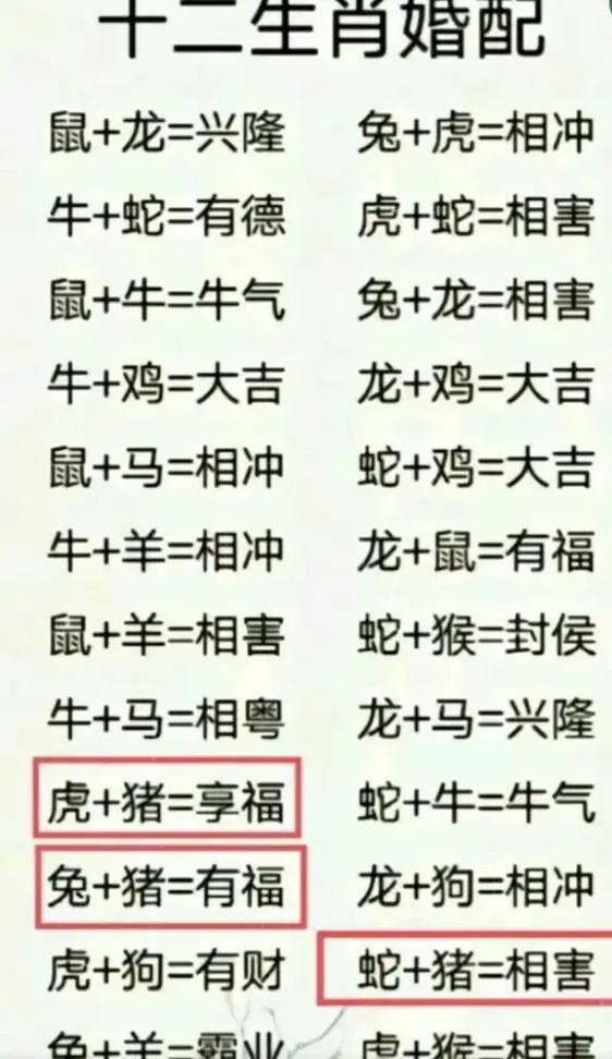 2025年生肖好运：鼠龙马猴迎春潮，事业生活双提升