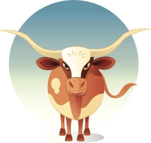 冬至生肖运势大变，蛇牛鼠惊喜连连！