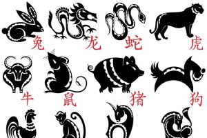 12月20日生肖运势揭秘：猪狗猴鸡爱情财运事业大解析