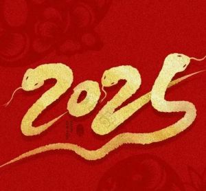 2025年生肖运势：鼠龙马猴事业飞跃年
