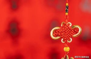 2025年生肖星座好运盘点：鼠蛇马狮齐迎辉煌时刻