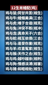 2025生肖运势：鼠龙蛇鸡四大属相腾飞新机遇