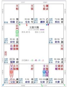 紫微斗数揭秘：命盘看缘分，预测婚姻走向
