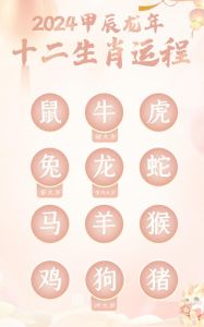 2025生肖运势：鼠龙猴羊高峰年，财富事业双丰收！