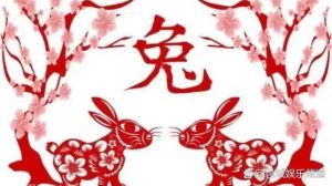 2025年生肖运势：事业爱情双丰收，精彩瞬间待揭晓！